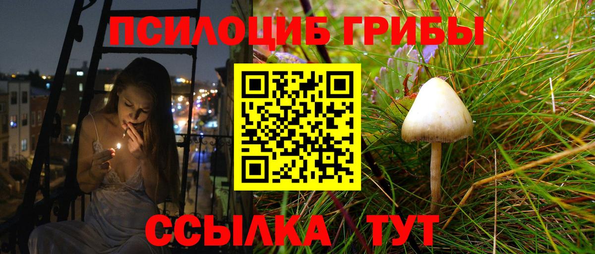 Галлюциногенные грибы мицелий Северск