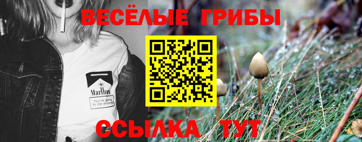 Псилоцибиновые грибы MAGIC MUSHROOMS  Вход с VPN  Северск 